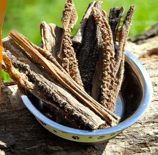 Tripe Sticks 
