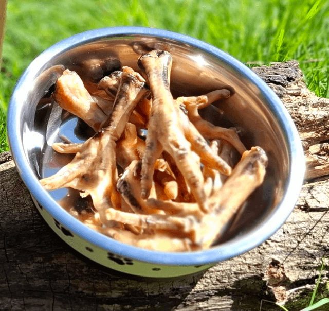 Chicken Feet 
