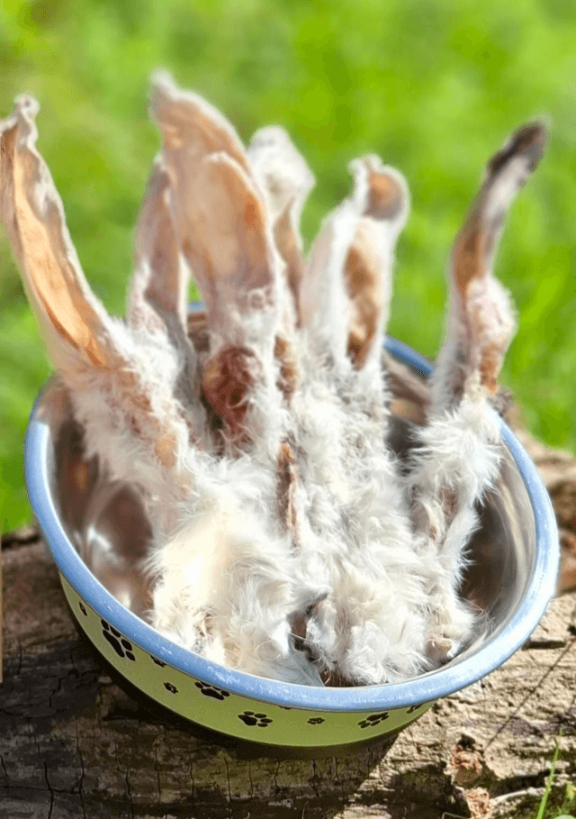 Hairy Rabbit Ears 