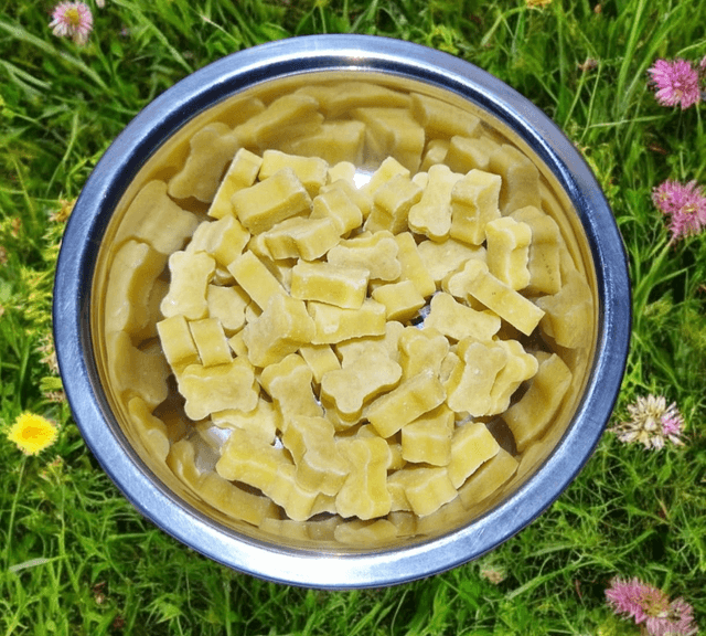 Vegetarian Cheese Bones 